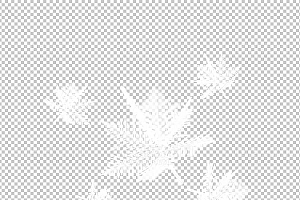 圣诞节素材PNG透明背景免抠图圣诞树老人雪花00013