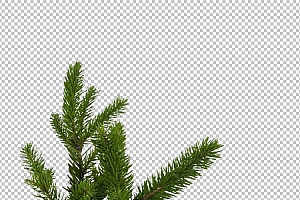 圣诞节素材PNG透明背景免抠图圣诞树老人雪花00901