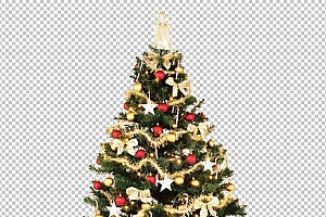 圣诞节素材PNG透明背景免抠图圣诞树老人雪花00978