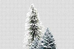 圣诞节素材PNG透明背景免抠图圣诞树老人雪花01034