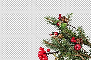 圣诞节素材PNG透明背景免抠图圣诞树老人雪花01313