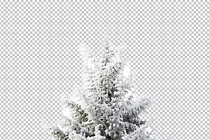 圣诞节素材PNG透明背景免抠图圣诞树老人雪花01876