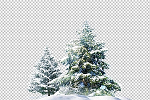 圣诞节素材PNG透明背景免抠图圣诞树老人雪花02056
