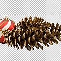 圣诞节素材PNG透明背景免抠图圣诞树老人雪花02144