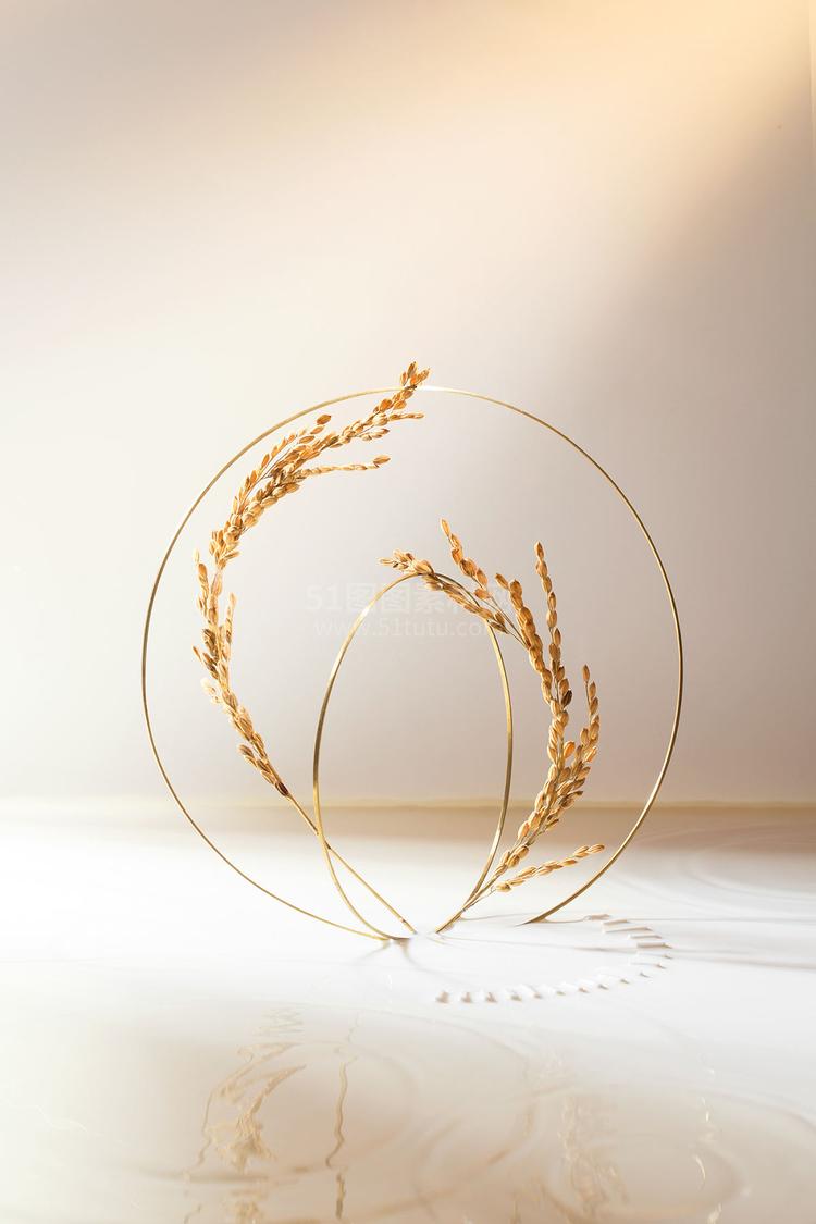 高清C4D背景产品背景场景产品台素材2306801911