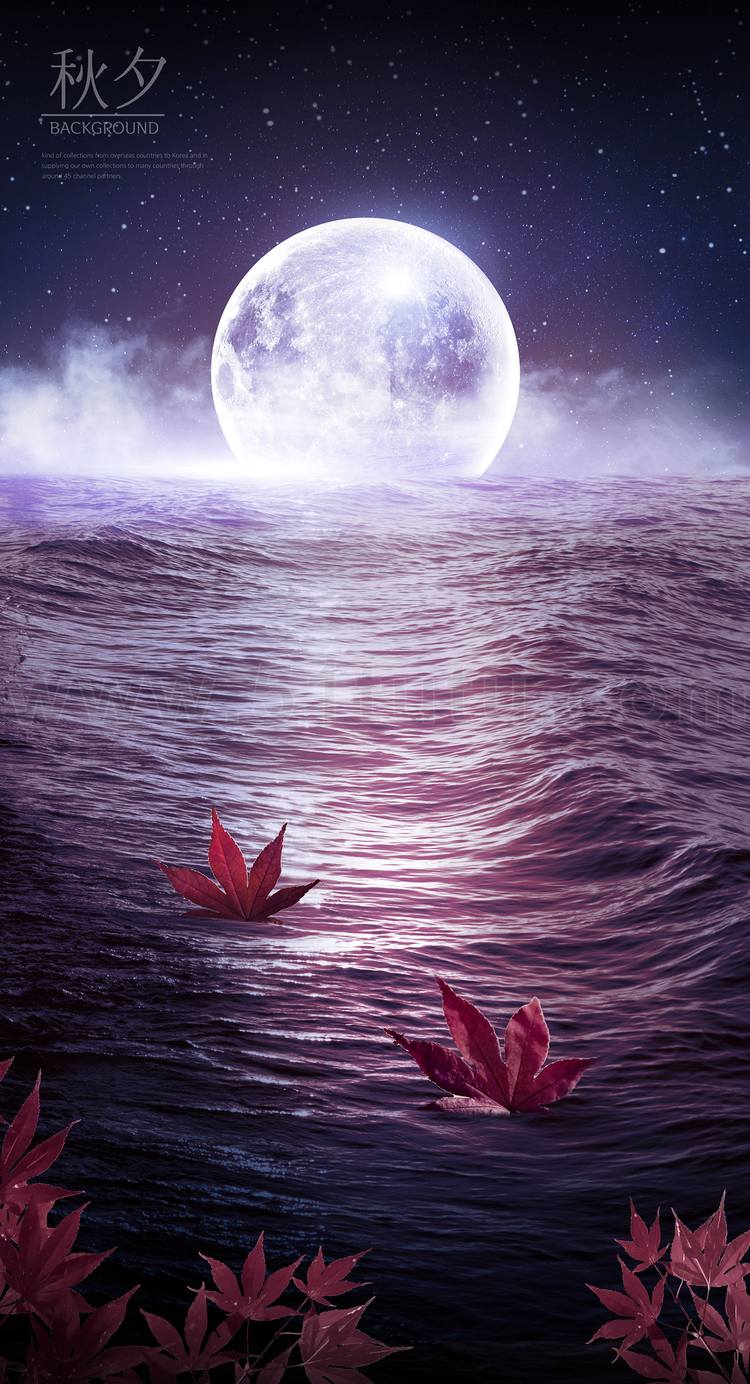 中秋节月圆背景场景素材参考图12节气23071500048