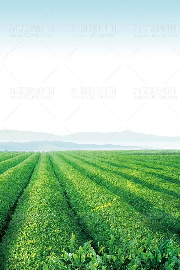 电商直播间背景场景图素材23111902933