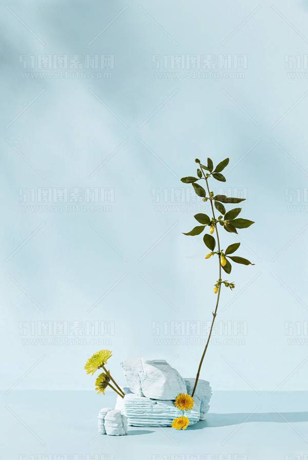 背景素材2024061900752