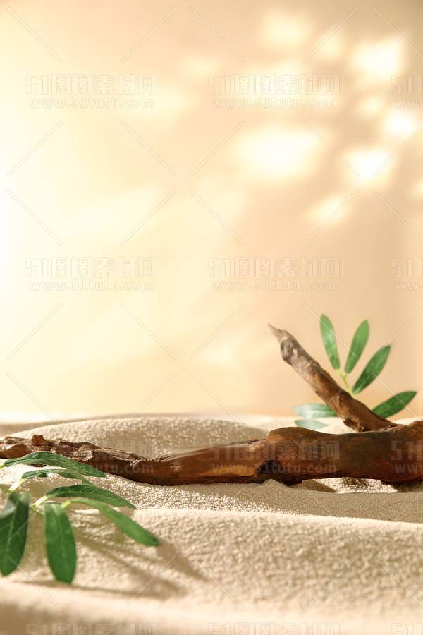 背景素材2024061900837